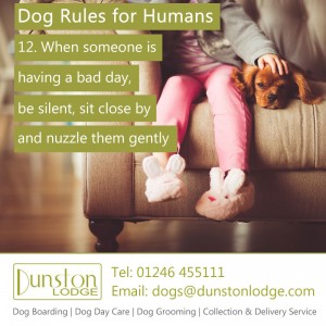 Dog rules for humans 12