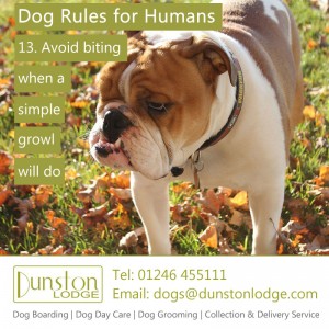 Dog rules for humans 13