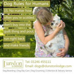 Dog rules for humans 15