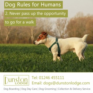 Dog rules for humans 2