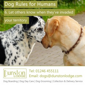 Dog rules for humans 6