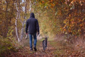 dog walks Dunston Lodge boarding kennels Chesterfield