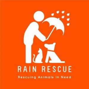 Rain Rescue - Rescuing Animals in Need