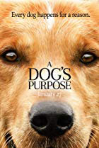 A Dog's Purpose 