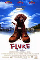 Fluke