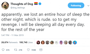 thoughts of dog 13