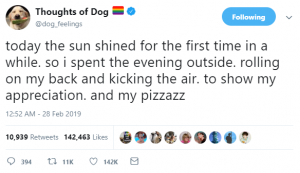 thoughts of dog 14