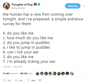 thoughts of dog 17