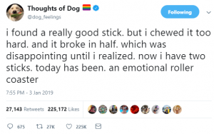 thoughts of dog 18