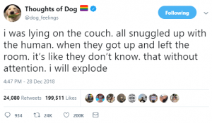 thoughts of dog 20