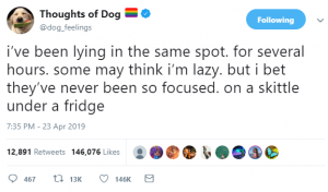 thoughts of dog 6