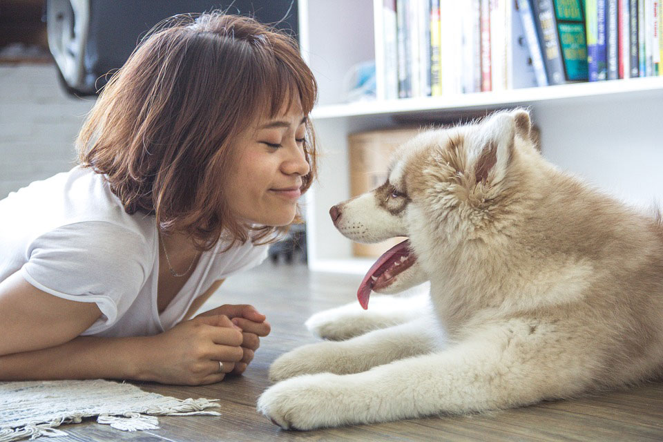 Is Our Love For Dogs In Our Genes?