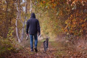 woodland walk dog kennels Chesterfield
