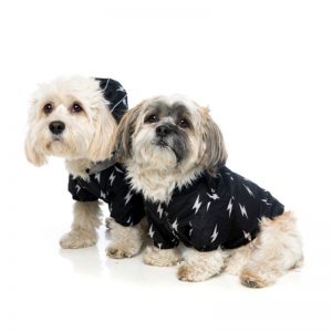 Bolt dog raincoat