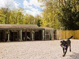 Healthy Coat Dog Kennels Chesterfield